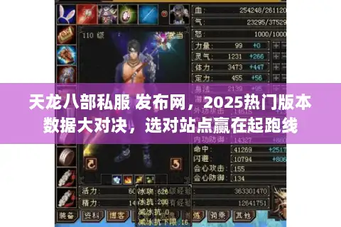 天龙八部私服 发布网，2025热门版本数据大对决，选对站点赢在起跑线