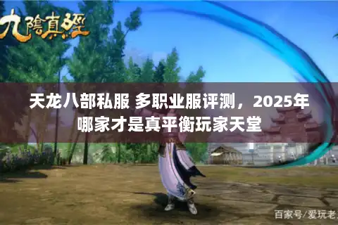 天龙八部私服 多职业服评测，2025年哪家才是真平衡玩家天堂
