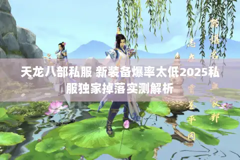 天龙八部私服 新装备爆率太低2025私服独家掉落实测解析