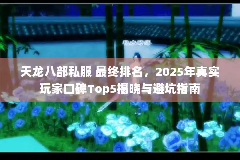 天龙八部私服 最终排名，2025年真实玩家口碑Top5揭晓与避坑指南
