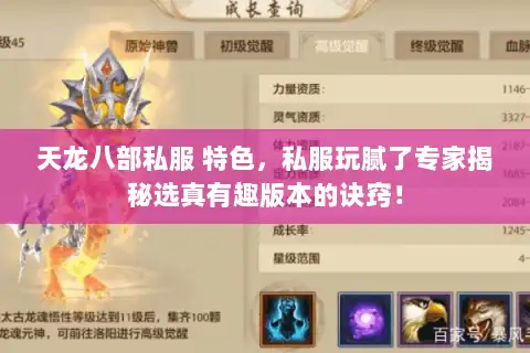 天龙八部私服 特色，私服玩腻了专家揭秘选真有趣版本的诀窍！