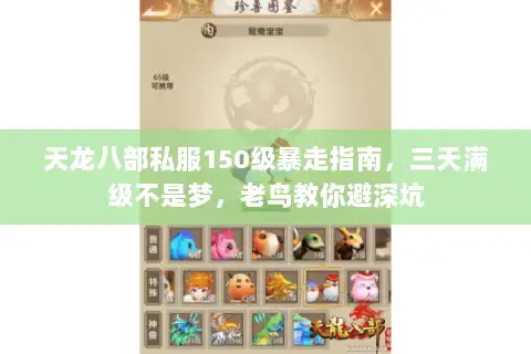 天龙八部私服150级暴走指南，三天满级不是梦，老鸟教你避深坑