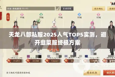 天龙八部私服2025人气TOP5实测，避开韭菜服终极方案
