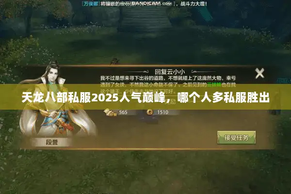 天龙八部私服2025人气巅峰，哪个人多私服胜出