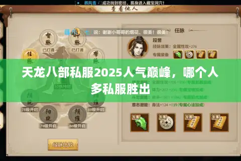 天龙八部私服2025人气巅峰，哪个人多私服胜出