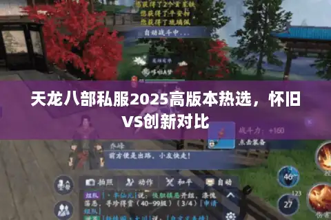 天龙八部私服2025高版本热选，怀旧VS创新对比