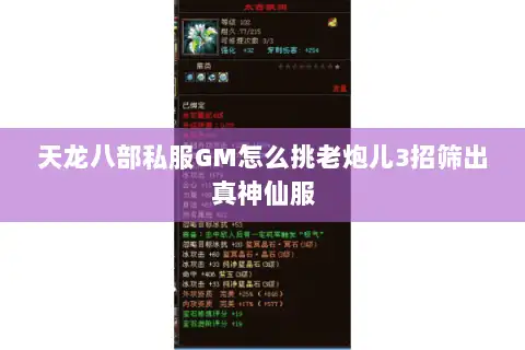 天龙八部私服GM怎么挑老炮儿3招筛出真神仙服
