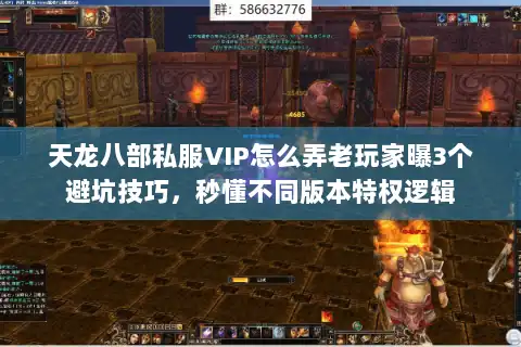 天龙八部私服VIP怎么弄老玩家曝3个避坑技巧，秒懂不同版本特权逻辑