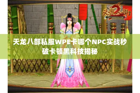 天龙八部私服WPE卡哪个NPC实战秒破卡顿黑科技揭秘