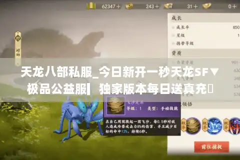 天龙八部私服_今日新开一秒天龙SF▼极品公益服▎独家版本每日送真充◁