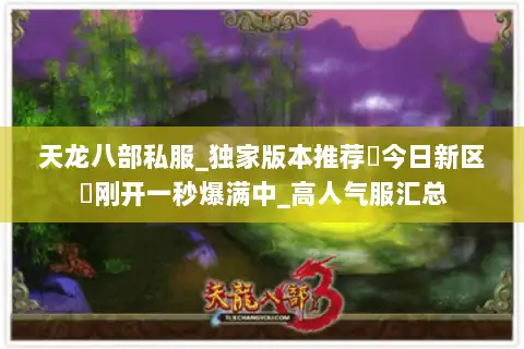 天龙八部私服_独家版本推荐▷今日新区◁刚开一秒爆满中_高人气服汇总