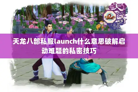天龙八部私服launch什么意思破解启动难题的私密技巧