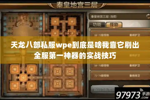 天龙八部私服wpe到底是啥我靠它刷出全服第一神器的实战技巧