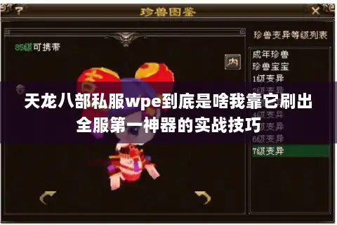 天龙八部私服wpe到底是啥我靠它刷出全服第一神器的实战技巧