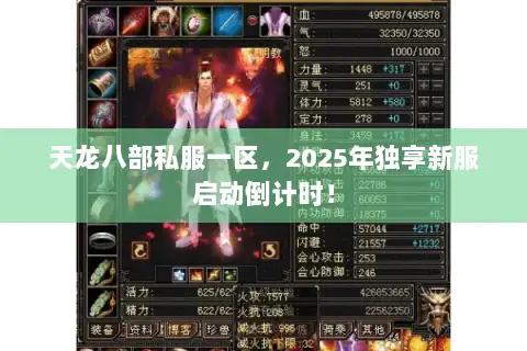 天龙八部私服一区，2025年独享新服启动倒计时！