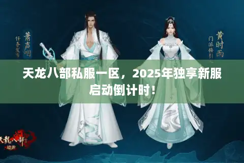 天龙八部私服一区，2025年独享新服启动倒计时！