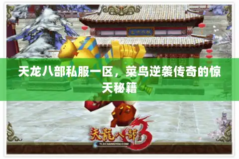 天龙八部私服一区，菜鸟逆袭传奇的惊天秘籍