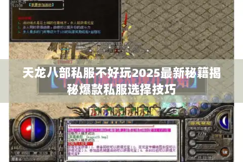 天龙八部私服不好玩2025最新秘籍揭秘爆款私服选择技巧