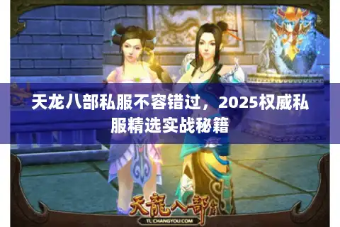 天龙八部私服不容错过，2025权威私服精选实战秘籍
