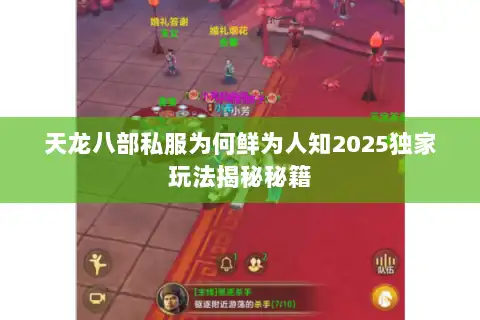 天龙八部私服为何鲜为人知2025独家玩法揭秘秘籍