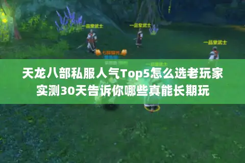 天龙八部私服人气Top5怎么选老玩家实测30天告诉你哪些真能长期玩