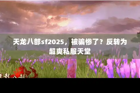 天龙八部sf2025，被骗惨了？反转为超爽私服天堂