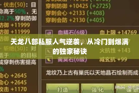 天龙八部私服人气逆袭，从冷门到爆满的独家秘诀