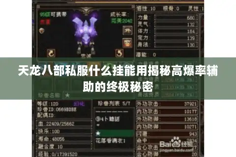 天龙八部私服什么挂能用揭秘高爆率辅助的终极秘密 天龙八部私服什么挂能用揭秘高爆率辅助的终极秘密