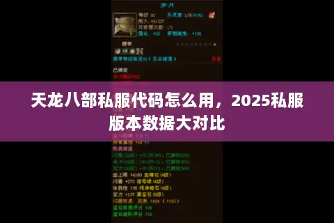 天龙八部私服代码怎么用，2025私服版本数据大对比