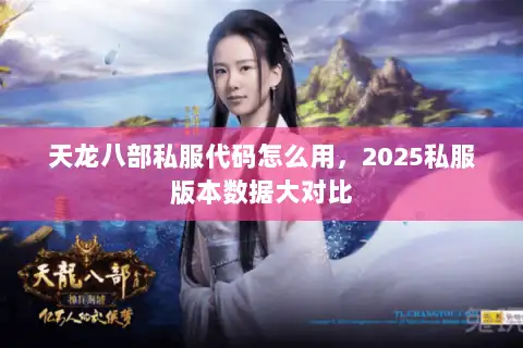 天龙八部私服代码怎么用，2025私服版本数据大对比