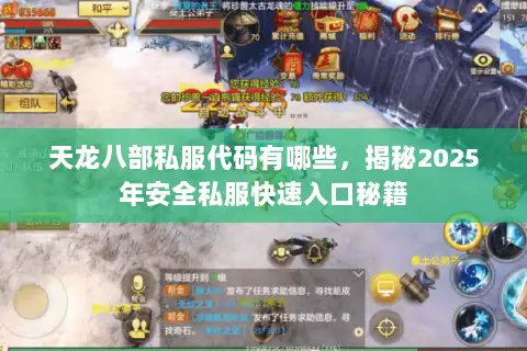 天龙八部私服代码有哪些，揭秘2025年安全私服快速入口秘籍