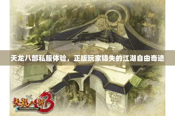 天龙八部私服体验，正版玩家错失的江湖自由奇迹