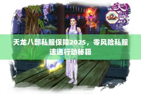 天龙八部私服保障2025，零风险私服速通行动秘籍