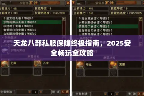 天龙八部私服保障终极指南，2025安全畅玩全攻略