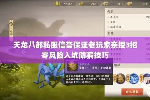 天龙八部私服信誉保证老玩家亲授3招零风险入坑防骗技巧