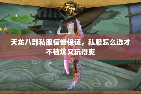 天龙八部私服信誉保证，私服怎么选才不被坑又玩得爽