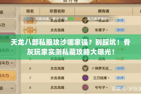 天龙八部私服攻沙哪家强?别踩坑!骨灰玩家实测私藏攻略大曝光! 天龙八部私服攻沙哪家强?别踩坑!骨灰玩家实测私藏攻略大曝光!