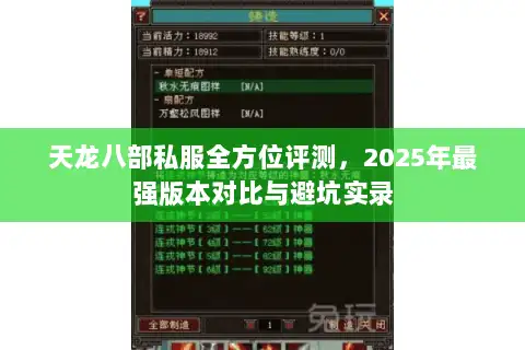 天龙八部私服全方位评测,2025年最强版本对比与避坑实录 天龙八部私服全方位评测,2025年最强版本对比与避坑实录