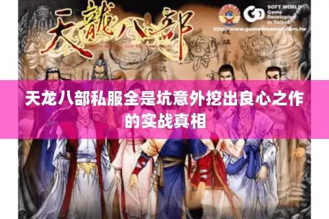 天龙八部私服全是坑意外挖出良心之作的实战真相