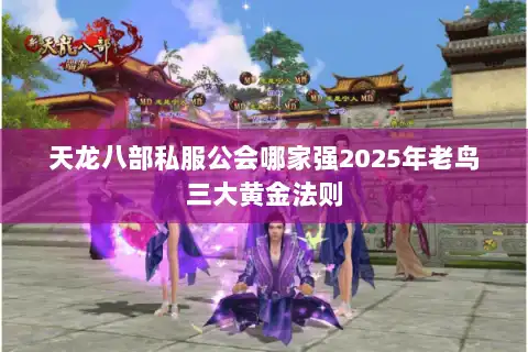 天龙八部私服公会哪家强2025年老鸟三大黄金法则