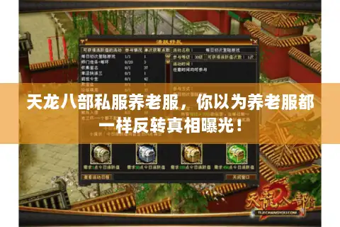 天龙八部私服养老服，你以为养老服都一样反转真相曝光！