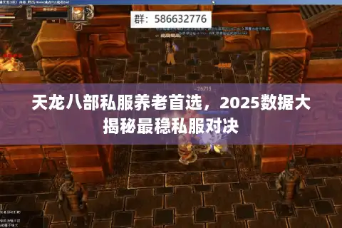 天龙八部私服养老首选,2025数据大揭秘最稳私服对决 天龙八部私服养老首选,2025数据大揭秘最稳私服对决