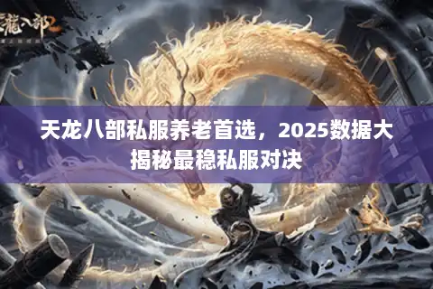 天龙八部私服养老首选,2025数据大揭秘最稳私服对决 天龙八部私服养老首选,2025数据大揭秘最稳私服对决