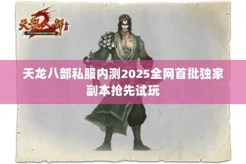 天龙八部私服内测2025全网首批独家副本抢先试玩