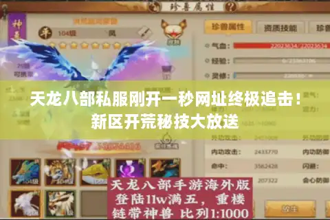 天龙八部私服刚开一秒网址终极追击!新区开荒秘技大放送 天龙八部私服刚开一秒网址终极追击!新区开荒秘技大放送