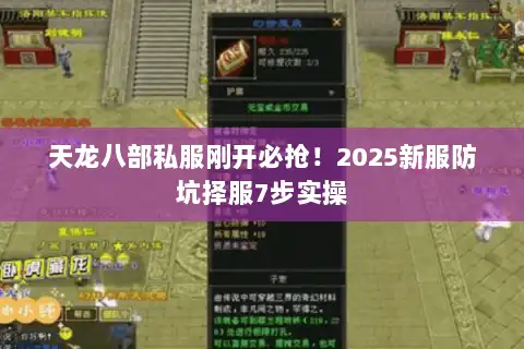天龙八部私服刚开必抢！2025新服防坑择服7步实操