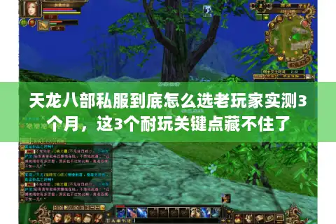 天龙八部私服到底怎么选老玩家实测3个月,这3个耐玩关键点藏不住了 天龙八部私服到底怎么选老玩家实测3个月,这3个耐玩关键点藏不住了