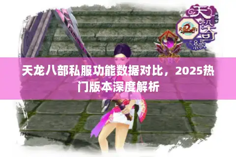 天龙八部私服功能数据对比,2025热门版本深度解析 天龙八部私服功能数据对比,2025热门版本深度解析