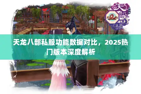 天龙八部私服功能数据对比,2025热门版本深度解析 天龙八部私服功能数据对比,2025热门版本深度解析