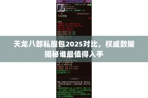 天龙八部私服包2025对比，权威数据揭秘谁最值得入手